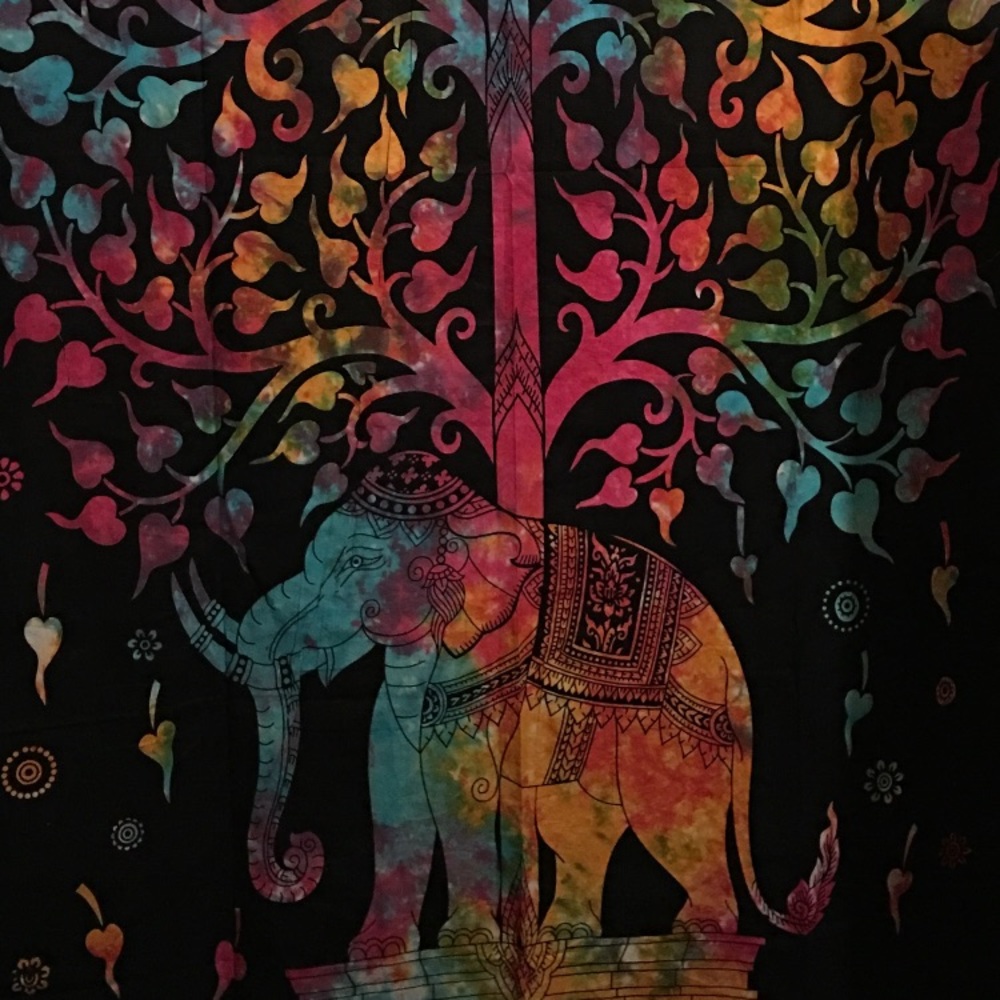 Meet your Posher, Bryanna